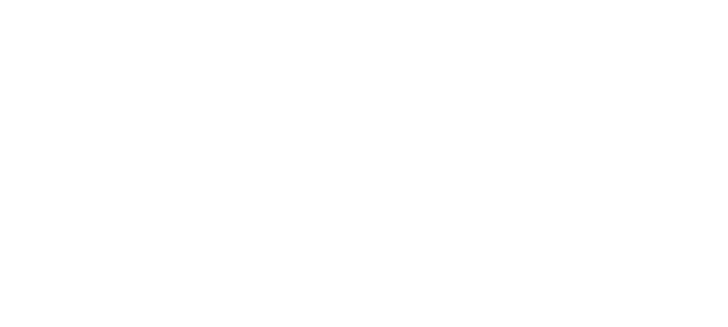 fly art ve trang tuong nghe thuat hcm logo