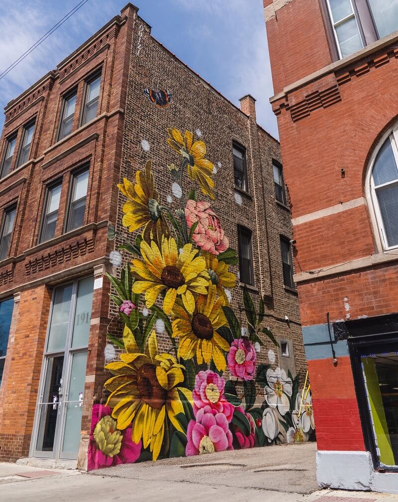 Vẽ tranh tường Mỹ Thuật Sen Việt 20 Mẫu và 10 Bước Vẽ Tranh Tường Hoa Hướng Dương Phong Thủy Đẹp 44 DSC00869 vẽ tranh tường Mỹ Thuật Sen Việt