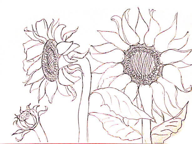 Vẽ tranh tường Mỹ Thuật Sen Việt 20 Mẫu và 10 Bước Vẽ Tranh Tường Hoa Hướng Dương Phong Thủy Đẹp 63 ve tranh tuong hoa huong duong 10 vẽ tranh tường Mỹ Thuật Sen Việt