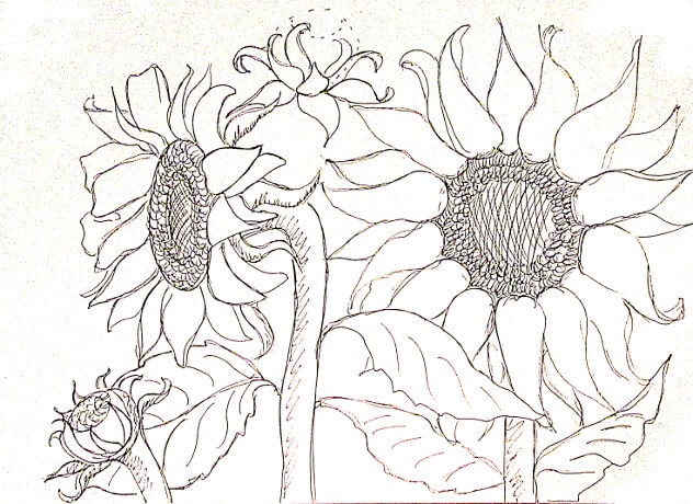 Vẽ tranh tường Mỹ Thuật Sen Việt 20 Mẫu và 10 Bước Vẽ Tranh Tường Hoa Hướng Dương Phong Thủy Đẹp 64 ve tranh tuong hoa huong duong 11 vẽ tranh tường Mỹ Thuật Sen Việt