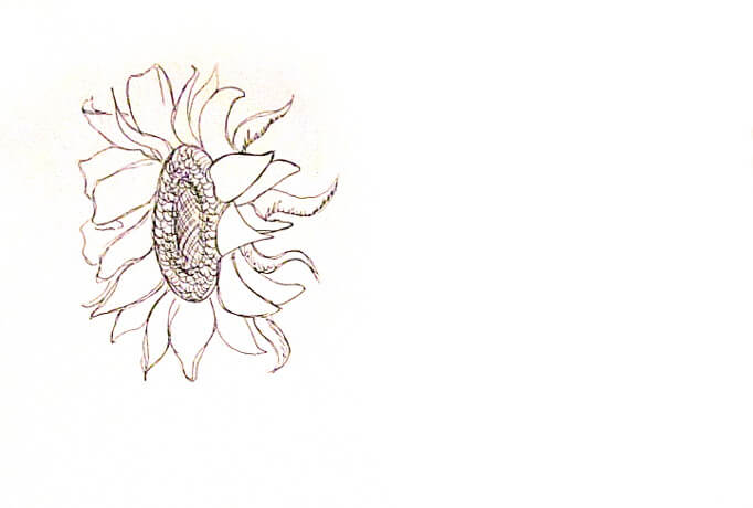 Vẽ tranh tường Mỹ Thuật Sen Việt 20 Mẫu và 10 Bước Vẽ Tranh Tường Hoa Hướng Dương Phong Thủy Đẹp 57 ve tranh tuong hoa huong duong 4 vẽ tranh tường Mỹ Thuật Sen Việt