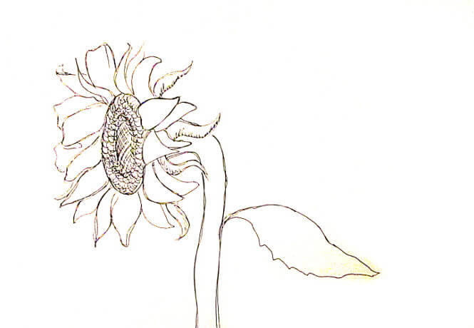 Vẽ tranh tường Mỹ Thuật Sen Việt 20 Mẫu và 10 Bước Vẽ Tranh Tường Hoa Hướng Dương Phong Thủy Đẹp 58 ve tranh tuong hoa huong duong 5 vẽ tranh tường Mỹ Thuật Sen Việt