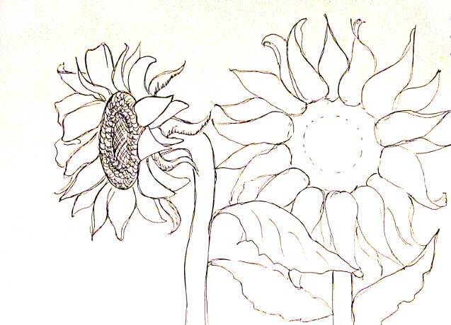 Vẽ tranh tường Mỹ Thuật Sen Việt 20 Mẫu và 10 Bước Vẽ Tranh Tường Hoa Hướng Dương Phong Thủy Đẹp 60 ve tranh tuong hoa huong duong 7 vẽ tranh tường Mỹ Thuật Sen Việt