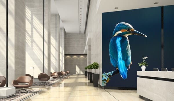 vẽ tranh tường con vật