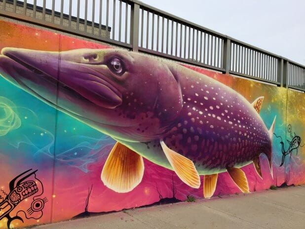 vẽ tranh tường con vật