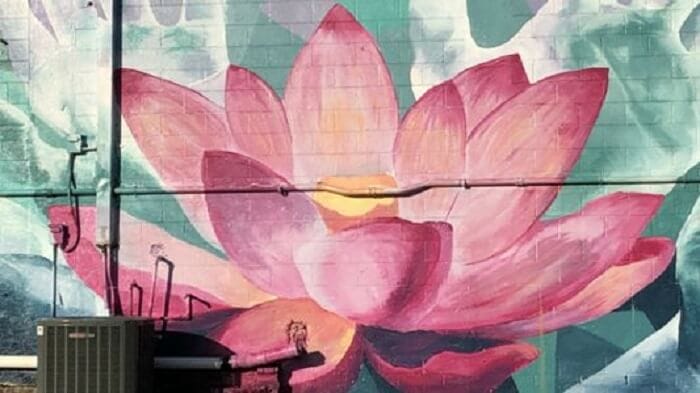 vẽ tranh tường hoa sen